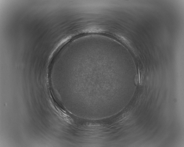 X0000062650531200512211234
