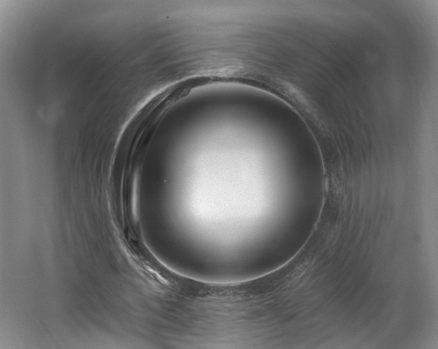 X0000062650532200512211234
