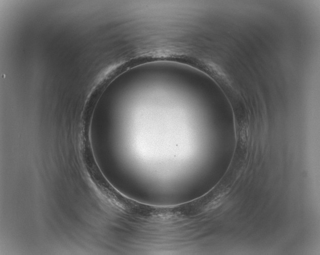 X0000062650540200512211234