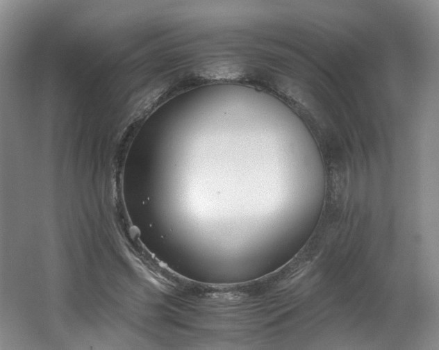 X0000062650541200512211234