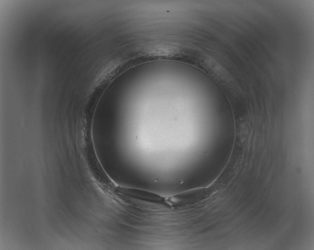 X0000062650544200512211234