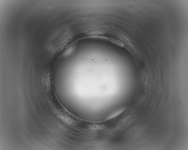 X0000062650549200512211234