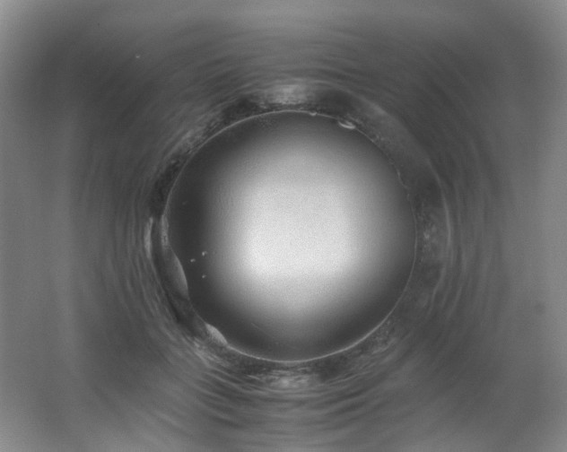 X0000062650555200512211234