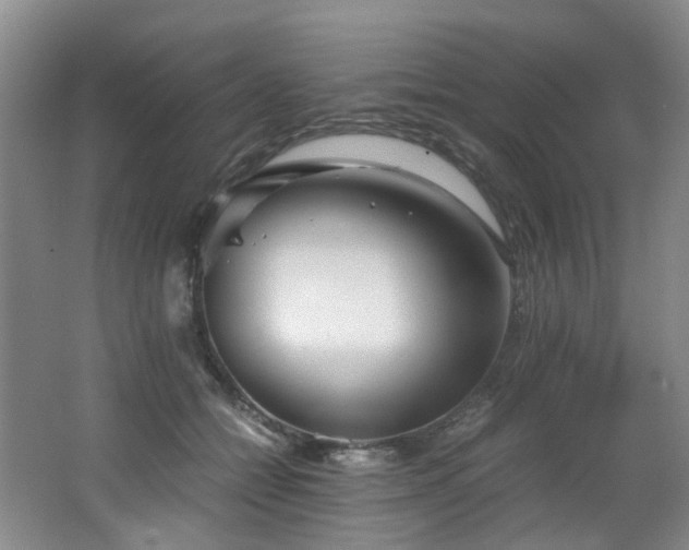 X0000062650558200512211234