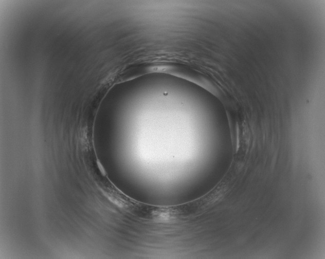 X0000062650564200512211234