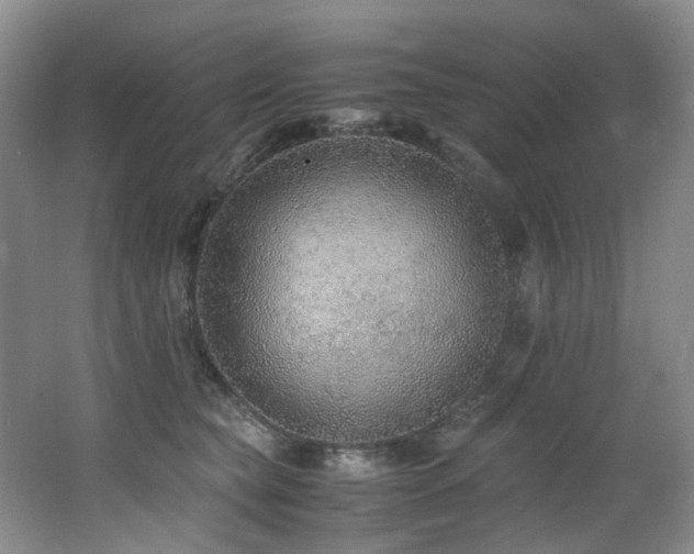 X0000062650565200512211234