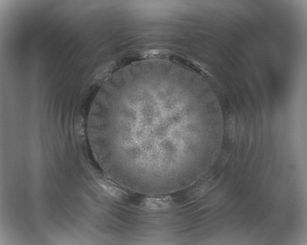 X0000062650571200512211234