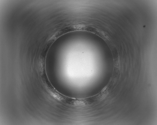 X0000062650572200512211234