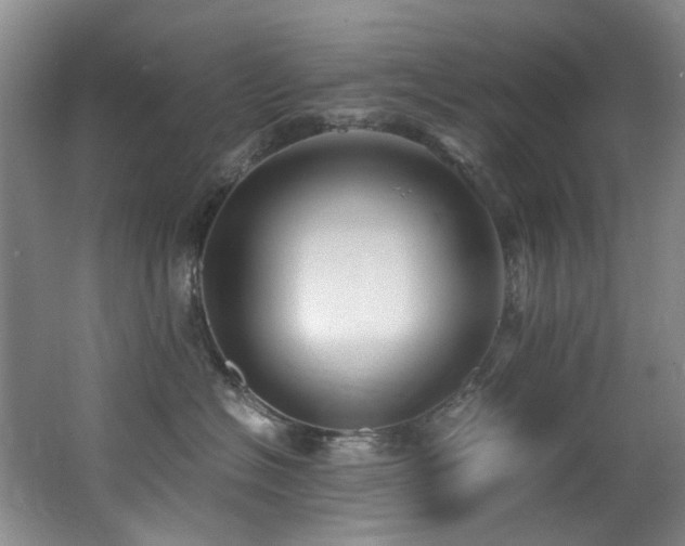X0000062650574200512211234