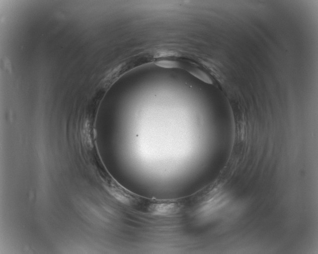 X0000062650575200512211234