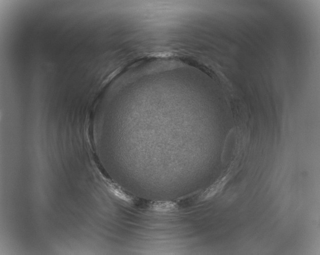 X0000062650576200512211234