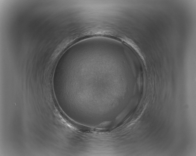 X0000062650577200512211234