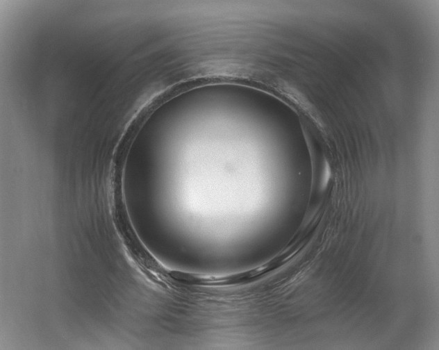 X0000062650580200512211233