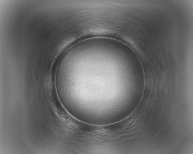 X0000062650583200512211233