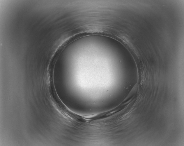 X0000062650584200512211233