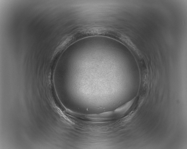 X0000062650585200512211233