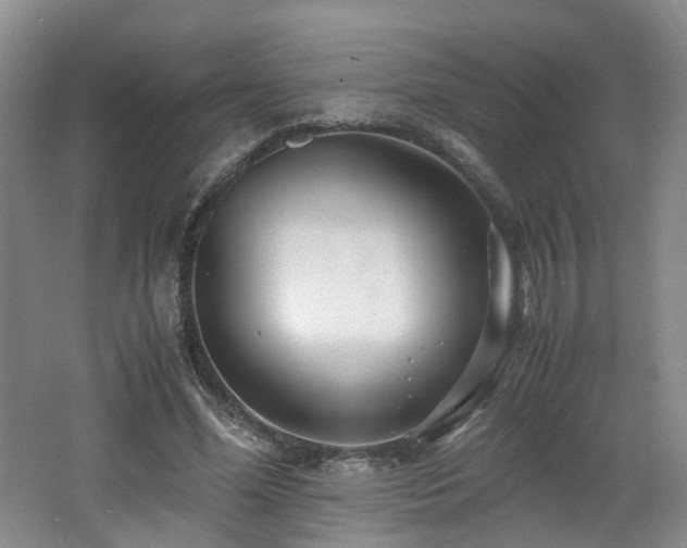 X0000062650588200512211233