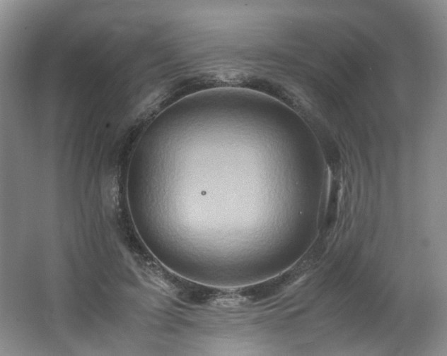 X0000062650595200512211233