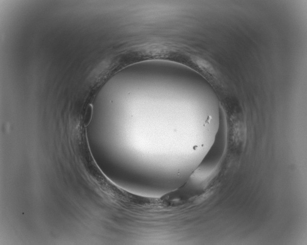 X0000062650597200512211233