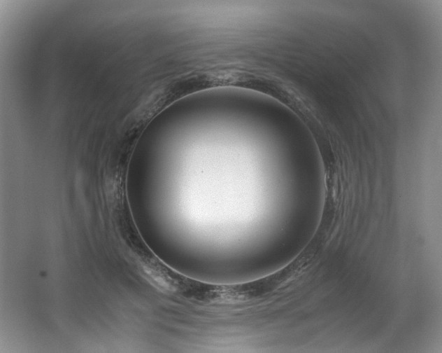 X0000062650601200512211233