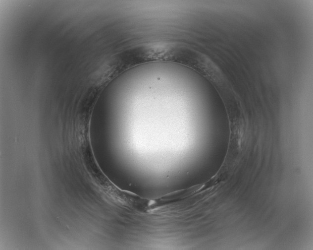 X0000062650602200512211233