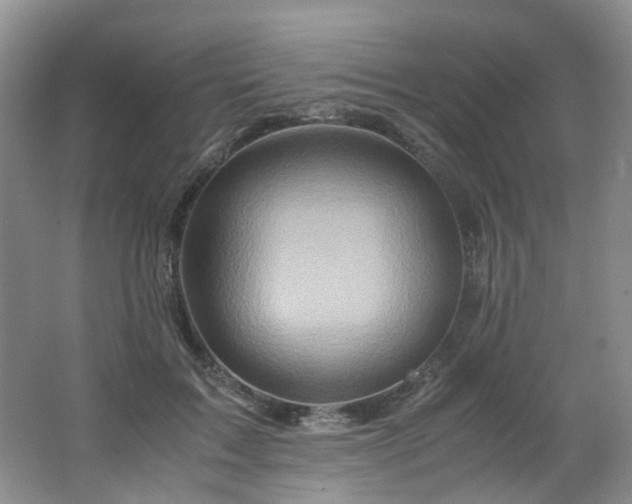 X0000062650603200512211233