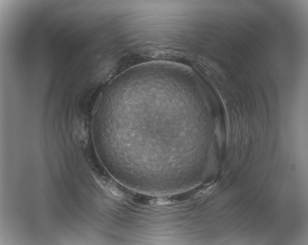 X0000062650607200512211233