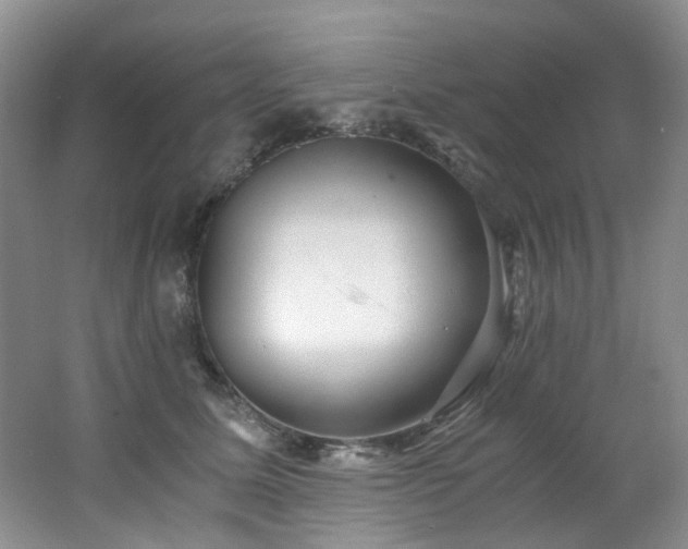 X0000062650611200512211233