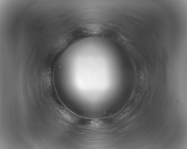 X0000062650612200512211233
