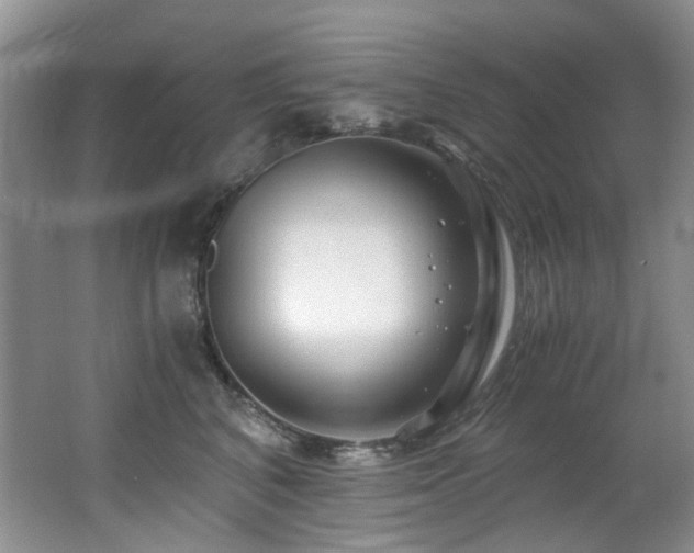 X0000062650616200512211233