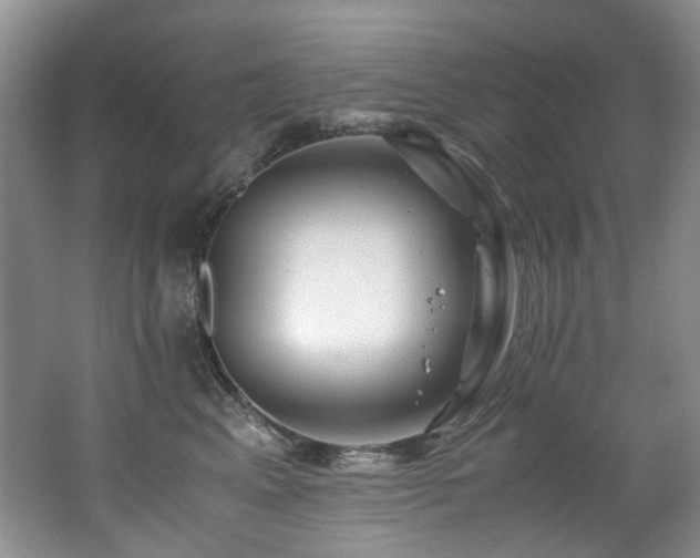 X0000062650617200512211233