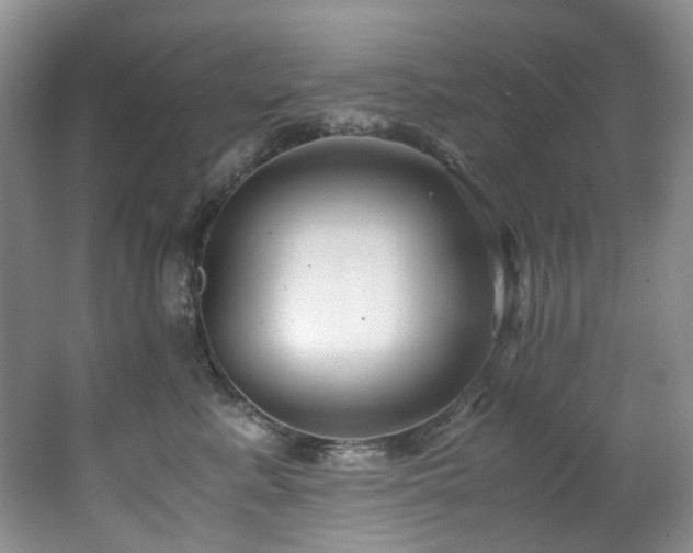 X0000062650619200512211233