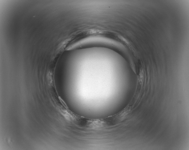 X0000062650621200512211233