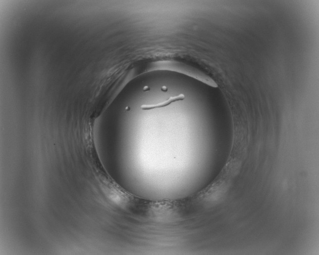 X0000062650624200512211233