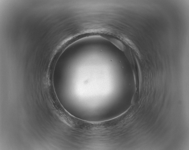 X0000062650628200512211232