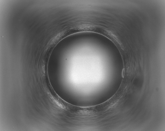 X0000062650633200512211232