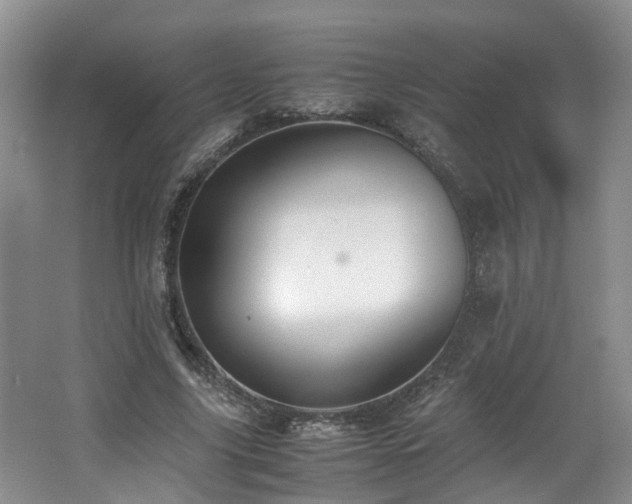 X0000062650635200512211232