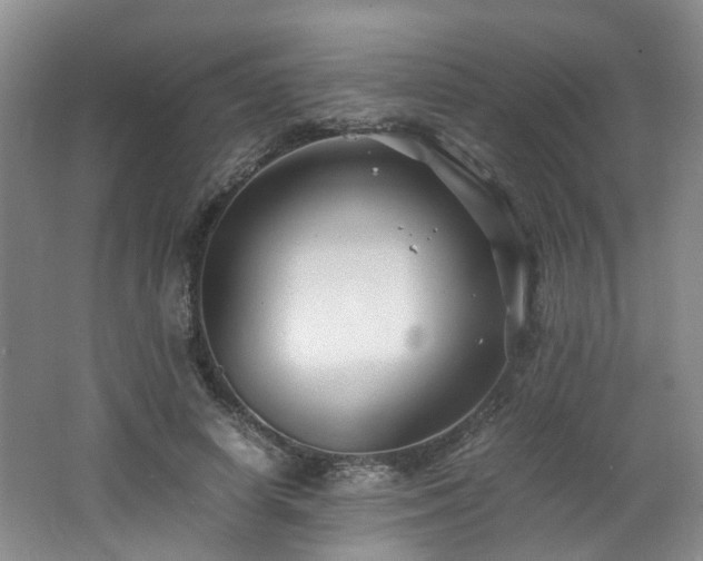 X0000062650642200512211232