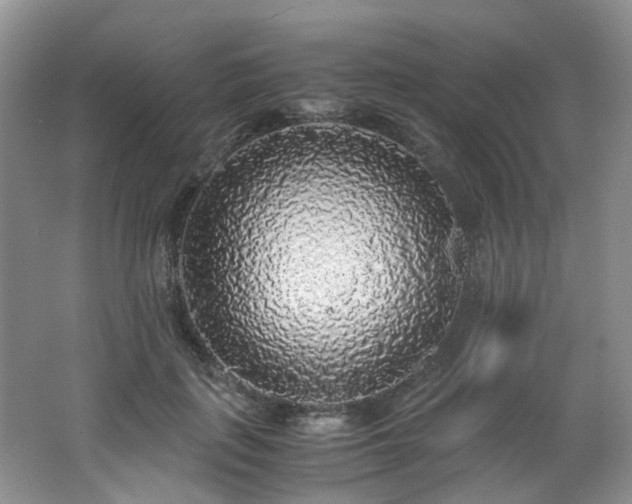 X0000062650651200512211232