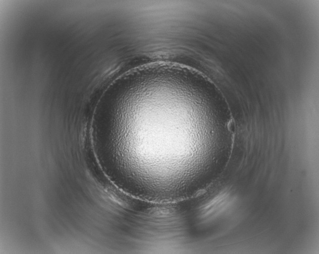 X0000062650652200512211232