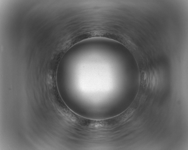 X0000062650655200512211232