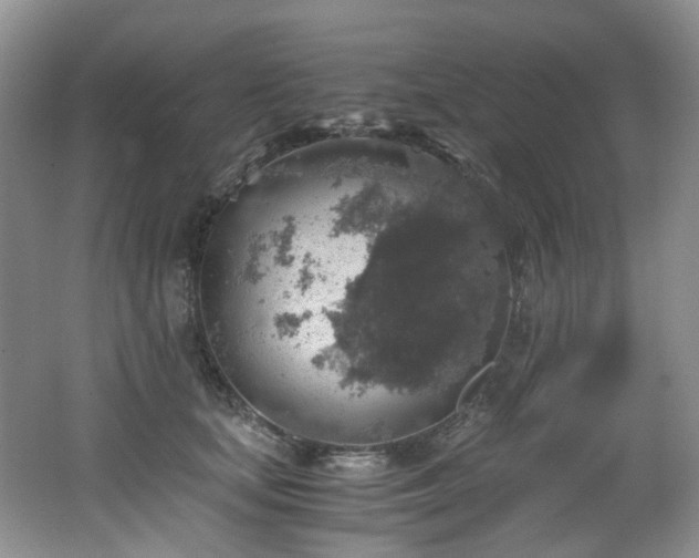 X0000062650659200512211232