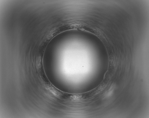 X0000062650660200512211232