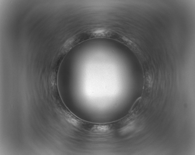 X0000062650665200512211233