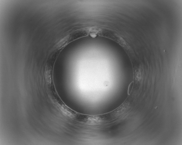 X0000062650666200512211233