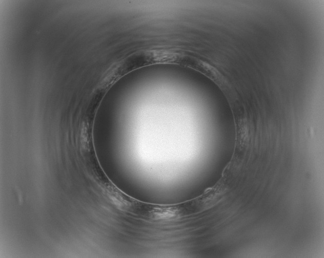 X0000062650667200512211233