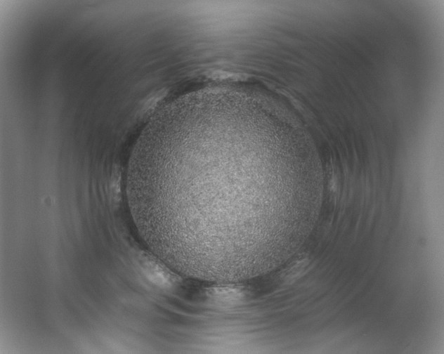 X0000062650668200512211233