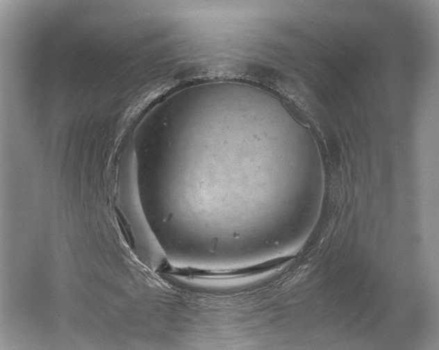 X0000062650673200512211232
