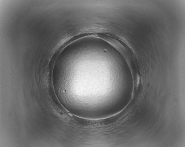 X0000062650675200512211232