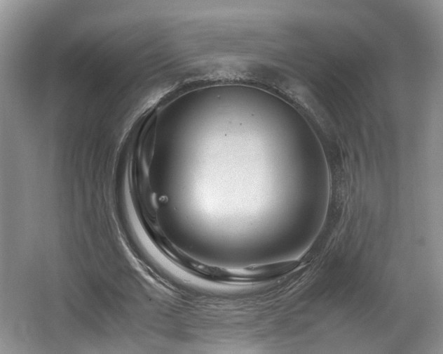 X0000062650677200512211232